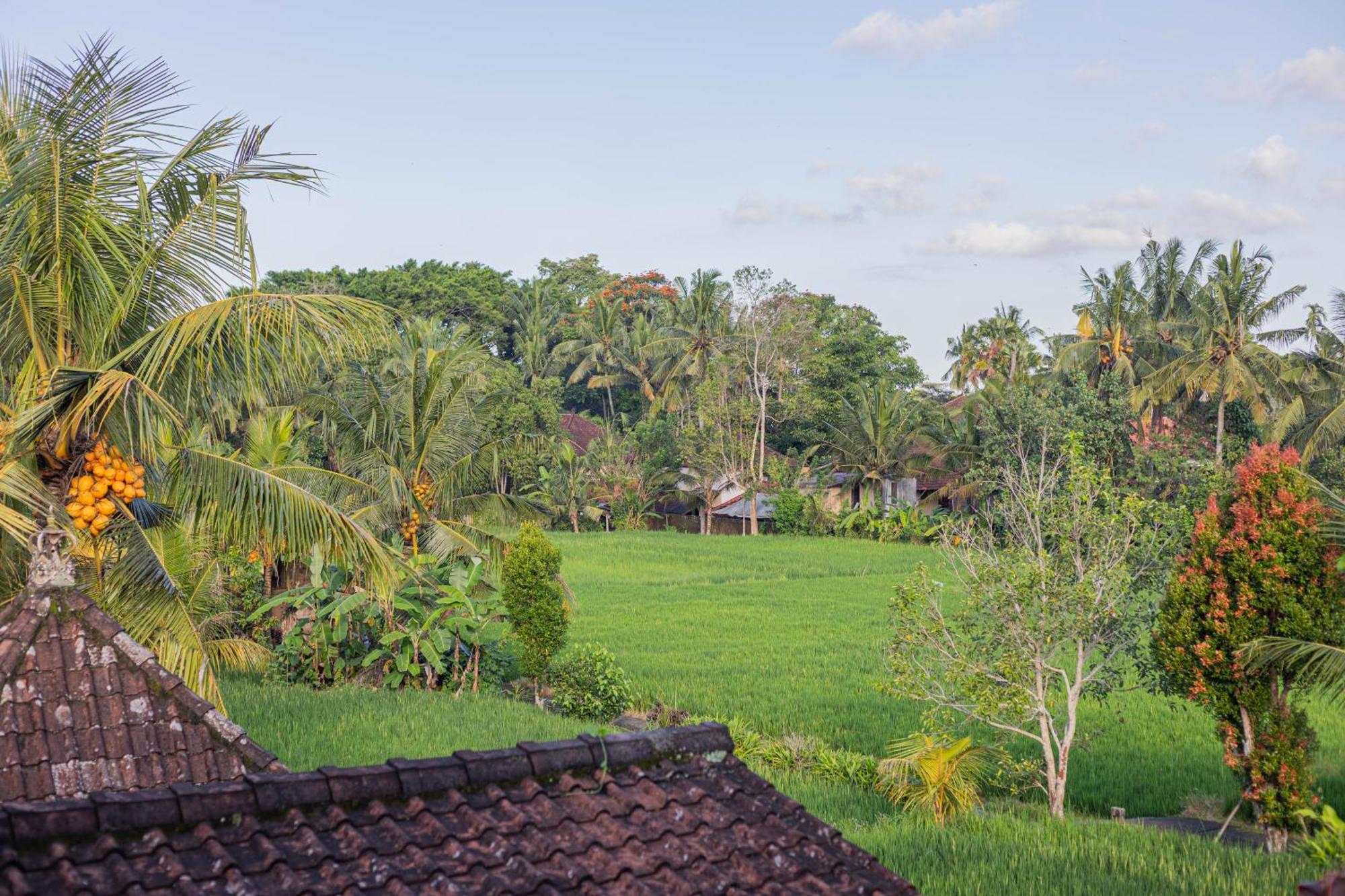 Sari Bamboo Bungalows Убуд Номер фото